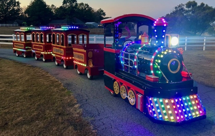 Trackless Train